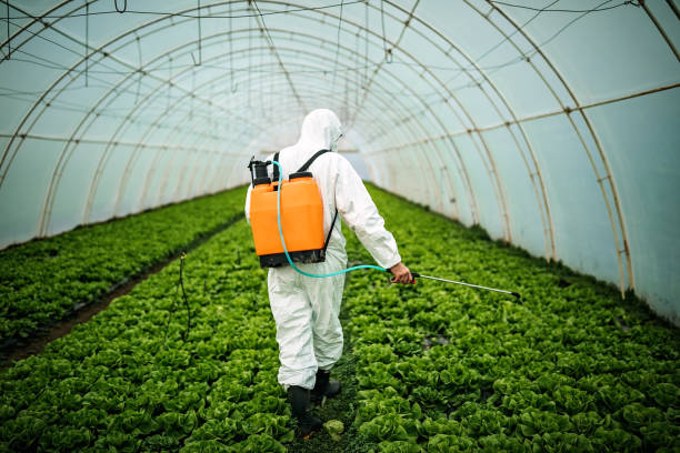 Pest Control for Restaurants in Bishopville, SC
