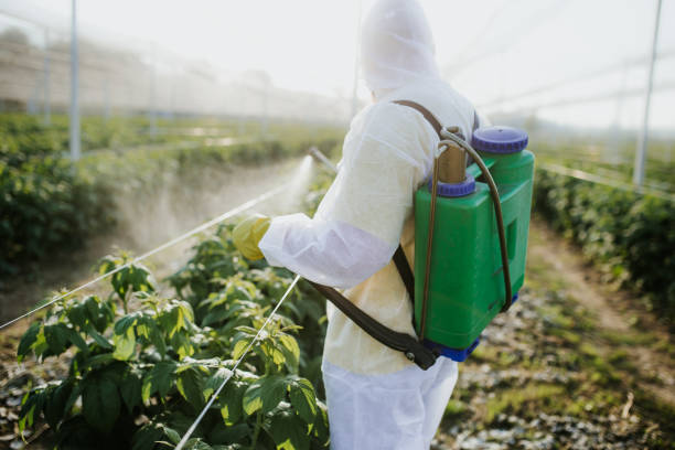 Trusted Bishopville, SC Pest Control Experts
